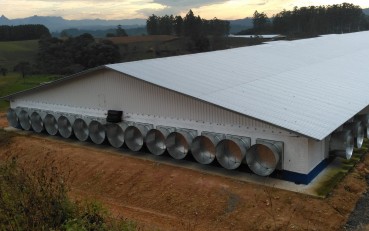 A telha termoacstica como aliada do agronegcio: conforto, produtividade e eficincia no campo
