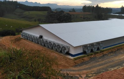 A telha termoacstica como aliada do agronegcio: conforto, produtividade e eficincia no campo