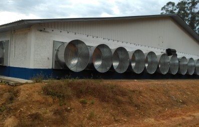 A telha termoacstica como aliada do agronegcio: conforto, produtividade e eficincia no campo