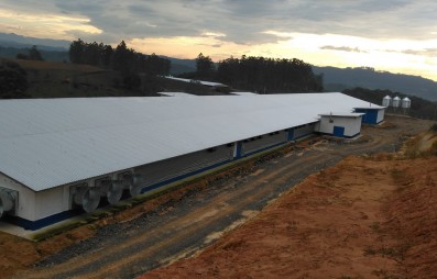 A telha termoacstica como aliada do agronegcio: conforto, produtividade e eficincia no campo